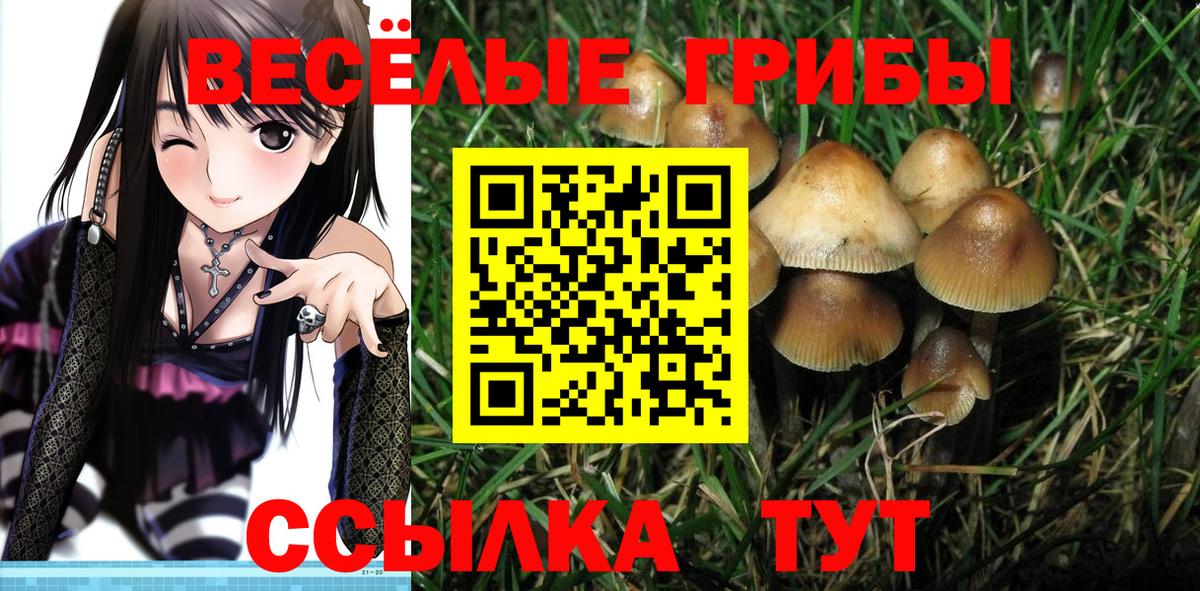 Чехов  Псилоцибиновые грибы мухоморы  Вход с VPN  Псилоцибиновые грибы прущие грибы 