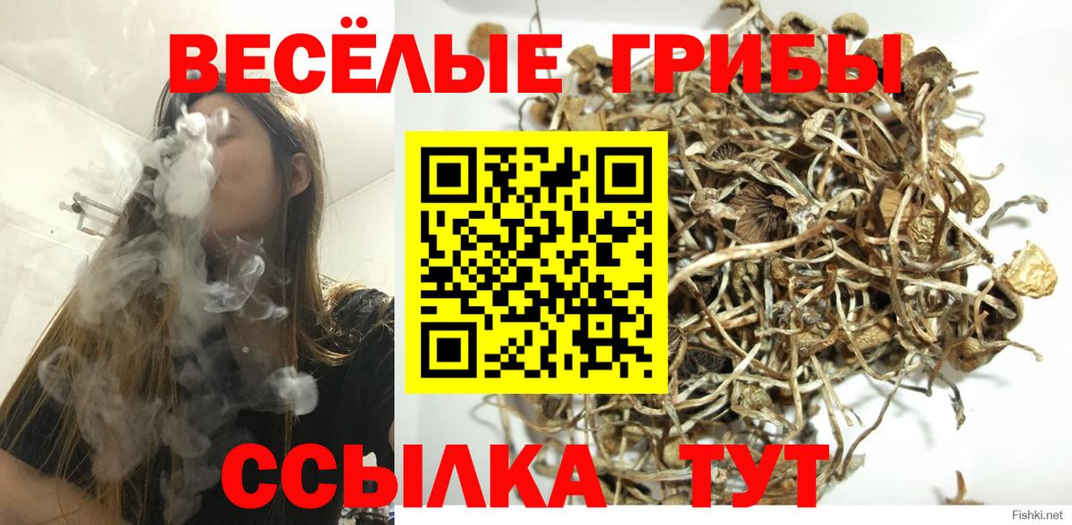 Галлюциногенные грибы MAGIC MUSHROOMS Чехов